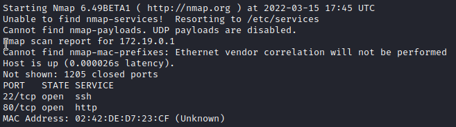 /d3vyce/blog/media/branch/renovate/hugomods-hugo-0.x/content/writeup-ctf/writeup-goodgames-htb/img/image-8.png