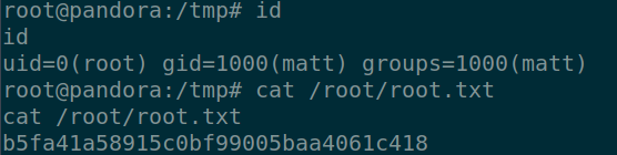 /d3vyce/blog/media/branch/renovate/hugomods-hugo-0.x/content/writeup-ctf/writeup-pandora-htb/img/image-11.png