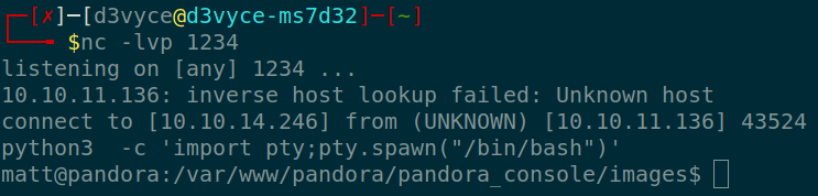 /d3vyce/blog/media/branch/renovate/hugomods-hugo-0.x/content/writeup-ctf/writeup-pandora-htb/img/image-8.png