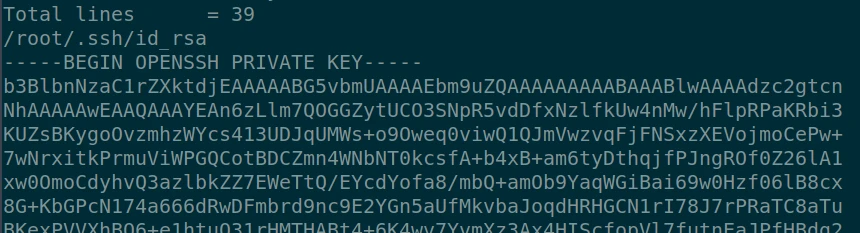/d3vyce/blog/media/branch/renovate/hugomods-hugo-0.x/content/writeup-ctf/writeup-secret-htb/img/image-15.webp