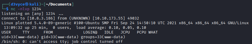/d3vyce/blog/media/commit/08abc4fa5f1133b18e7c4e138ac3a2841e0095d9/content/writeup-ctf/writeup-plotted-tms-thm/img/image-6.png
