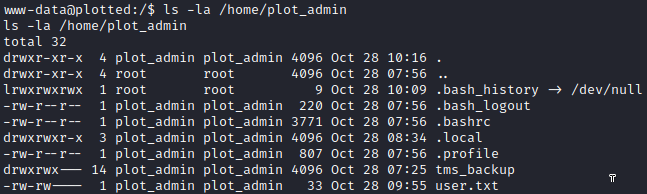 /d3vyce/blog/media/commit/08abc4fa5f1133b18e7c4e138ac3a2841e0095d9/content/writeup-ctf/writeup-plotted-tms-thm/img/image-7.png