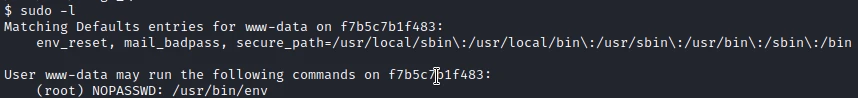 /d3vyce/blog/media/commit/0e7b6a4634d3c23173afb97eec1c9dee0451bb7e/content/writeup-ctf/writeup-dogcat-thm/img/image-6.webp