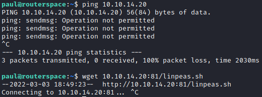 /d3vyce/blog/media/commit/10906e5442089a16f8e20544e51006f8b8bd2aa6/content/writeup-ctf/writeup-routerspace-htb/img/image-7.png