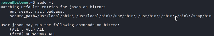 /d3vyce/blog/media/commit/295da91a77cb00eb89e3cb65143a0a6b5128b235/content/writeup-ctf/writeup-biteme-thm/img/image-9.webp
