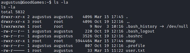 /d3vyce/blog/media/commit/295da91a77cb00eb89e3cb65143a0a6b5128b235/content/writeup-ctf/writeup-goodgames-htb/img/image-10.webp
