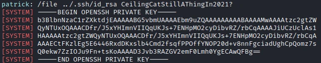 /d3vyce/blog/media/commit/367670897bda926827364d379ef8528d95062afb/content/writeup-ctf/writeup-devzat-htb/img/image-24.webp