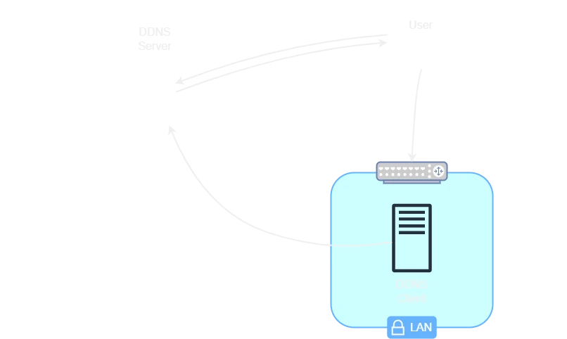 DDNS schematic
