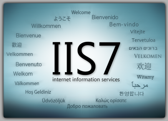 /d3vyce/blog/media/commit/6ff8415493812be0413e4e8f2ed915051044c8c5/content/writeup-ctf/writeup-devel-htb/img/image-2.png