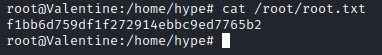 /d3vyce/blog/media/commit/78bd487cfe281c3113be97bc631905aaf645013e/content/writeup-ctf/writeup-valentine-htb/img/image-7.webp