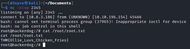 /d3vyce/blog/media/commit/8ab461d60102f5a76354b774a89805c17b613f93/content/writeup-ctf/writeup-ollie-thm/img/image-9.webp
