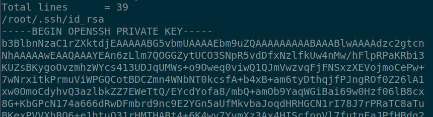/d3vyce/blog/media/commit/8ab461d60102f5a76354b774a89805c17b613f93/content/writeup-ctf/writeup-secret-htb/img/image-15.png
