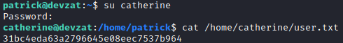 /d3vyce/blog/media/commit/90da8036d4f9903f12d7925ef09c79eedd80b52d/content/writeup-ctf/writeup-devzat-htb/img/image-20.png