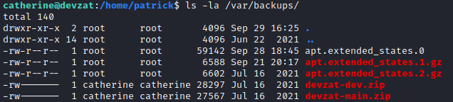 /d3vyce/blog/media/commit/90da8036d4f9903f12d7925ef09c79eedd80b52d/content/writeup-ctf/writeup-devzat-htb/img/image-21.png