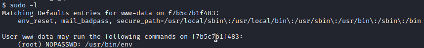 /d3vyce/blog/media/commit/90da8036d4f9903f12d7925ef09c79eedd80b52d/content/writeup-ctf/writeup-dogcat-thm/img/image-6.png