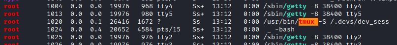 /d3vyce/blog/media/commit/90da8036d4f9903f12d7925ef09c79eedd80b52d/content/writeup-ctf/writeup-valentine-htb/img/image-6.png