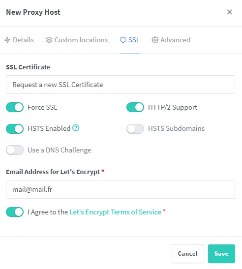 NginxProxyManager new proxy host SSL options