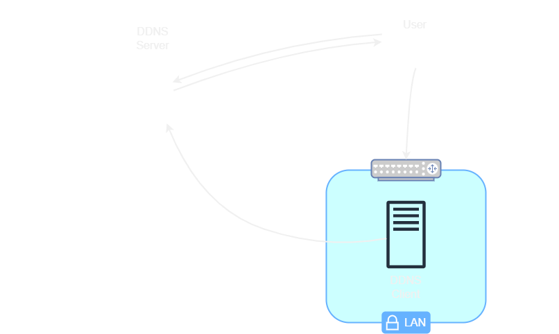 DDNS schematic