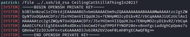 /d3vyce/blog/media/commit/ea82c57eaf280848f73ecda7370ff5a08e3f8b74/content/writeup-ctf/writeup-devzat-htb/img/image-24.png