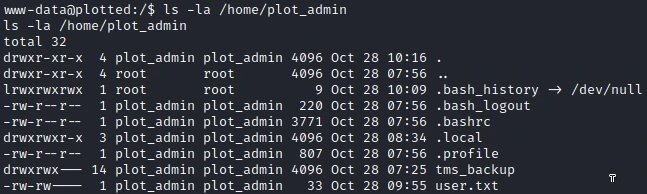 /d3vyce/blog/media/commit/f342bf94adbbd8782e8a3bbc9e6a3a8d49af1bfb/content/writeup-ctf/writeup-plotted-tms-thm/img/image-7.webp