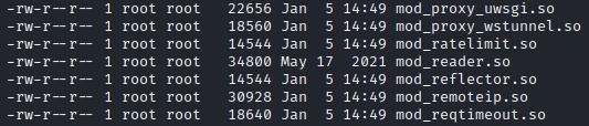 /d3vyce/blog/media/commit/f342bf94adbbd8782e8a3bbc9e6a3a8d49af1bfb/content/writeup-ctf/writeup-undetected-htb/img/image-9.webp